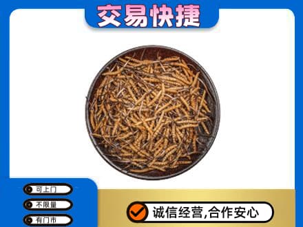 湖州市吴兴回收散虫草